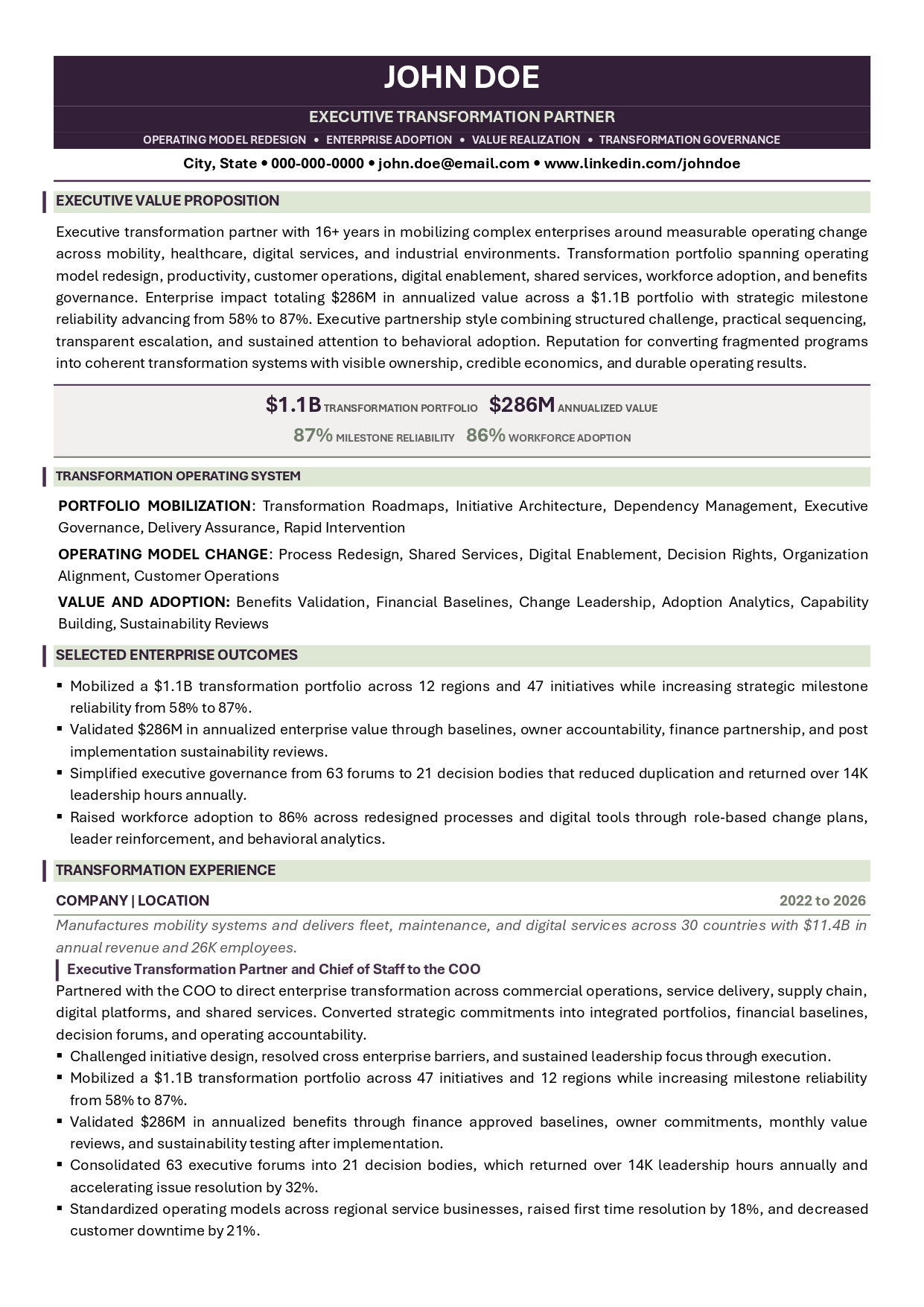 Executive transformation partner resume sample