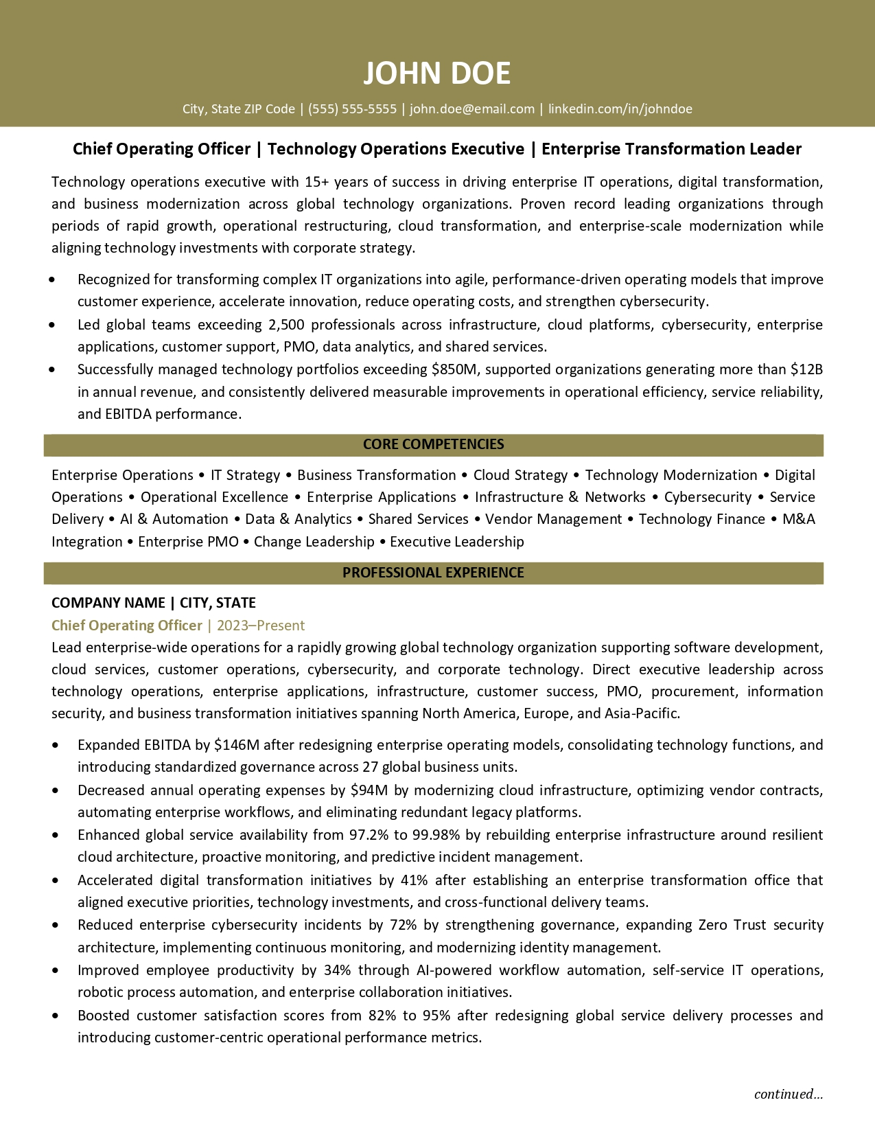IT COO resume sample
